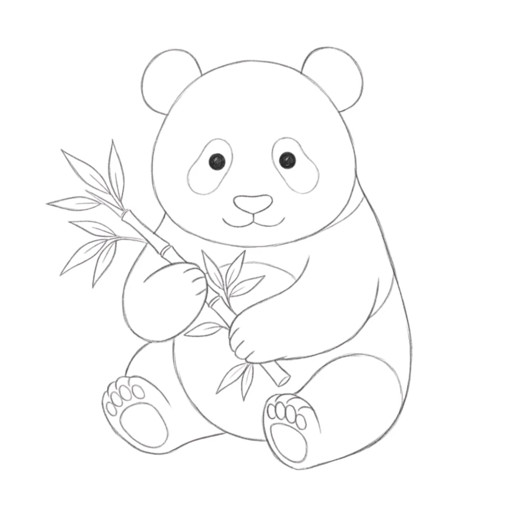Panda Bear Drawing